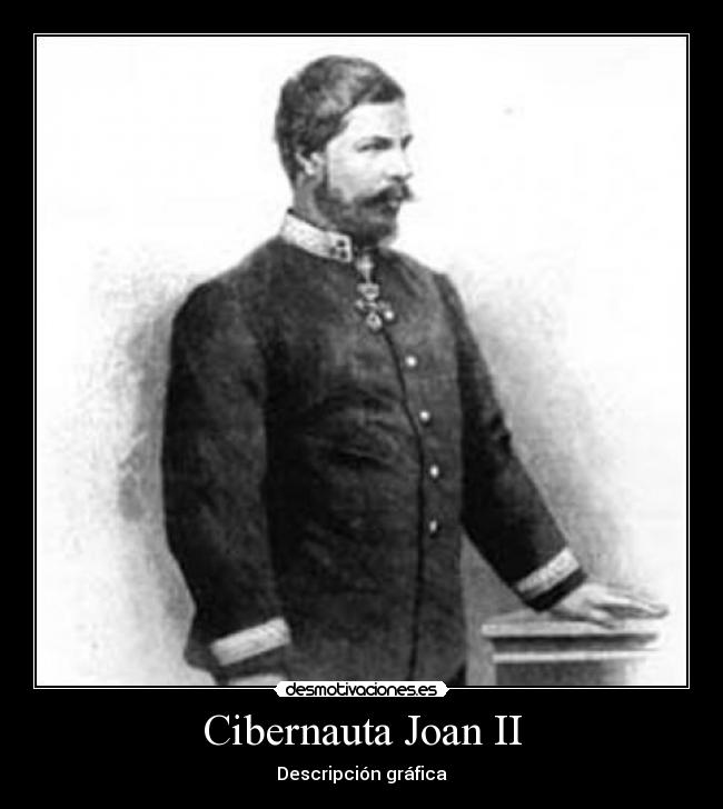 Cibernauta Joan II - Descripción gráfica