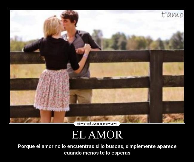 EL AMOR - 