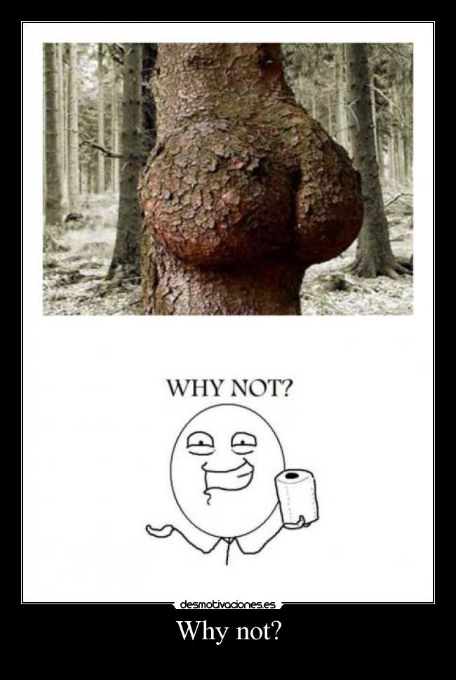 Why not? - 