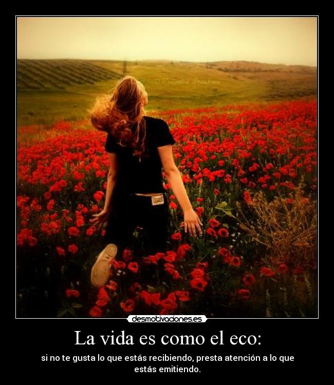 La vida es como el eco: - 