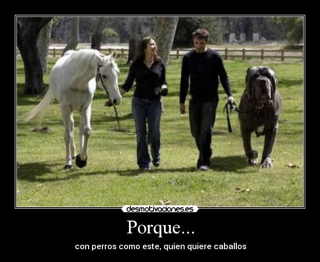 Porque... - 