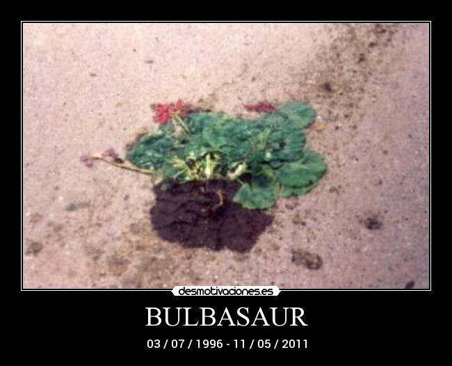 BULBASAUR - 