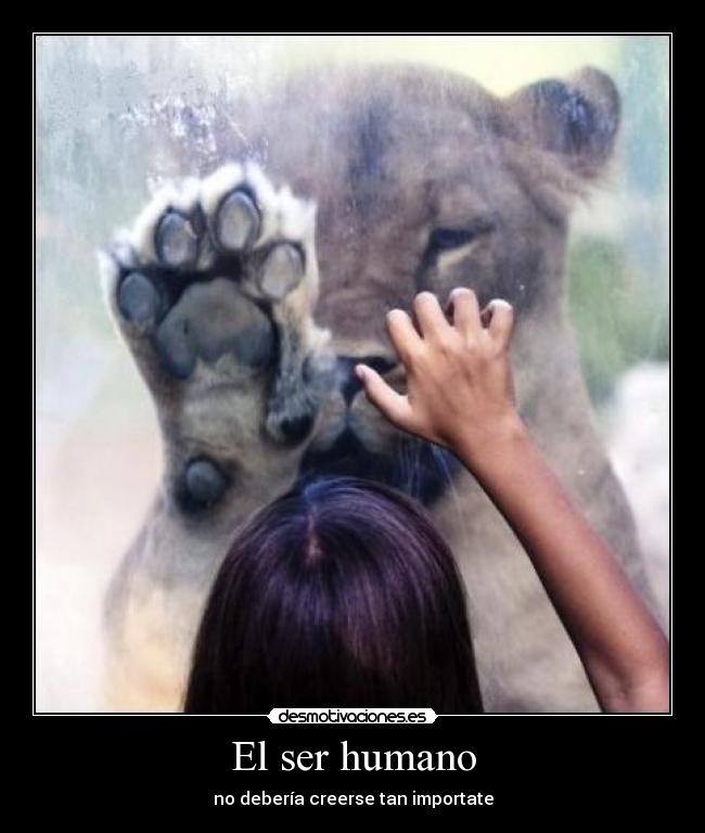 El ser humano - 