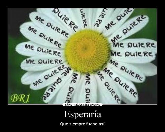 Esperaría - 