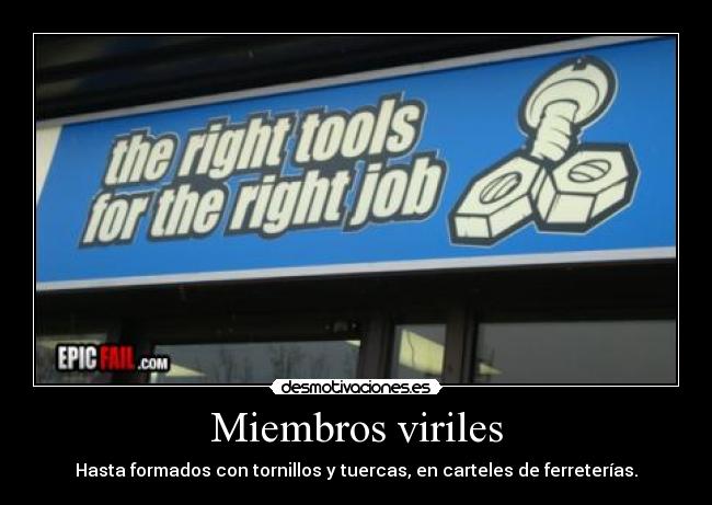 Miembros viriles -