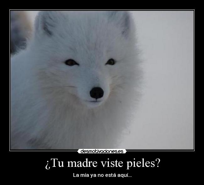 ¿Tu madre viste pieles? - 