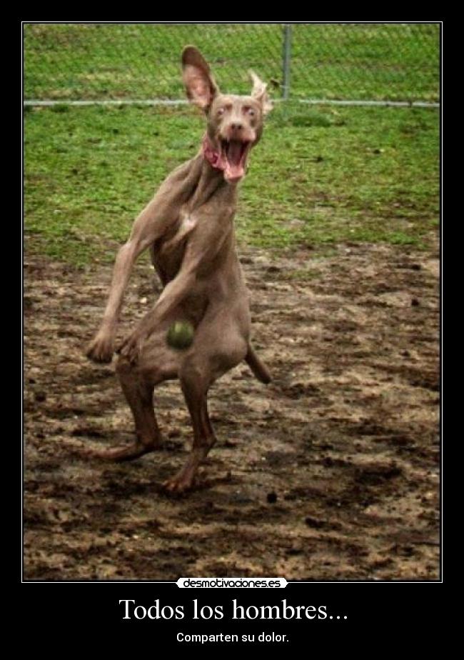 Todos los hombres... -