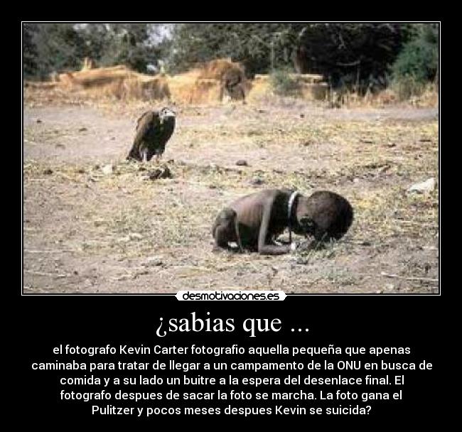 ¿sabias que ... -