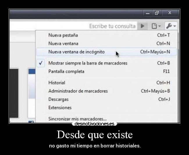 Desde que existe - no gasto mi tiempo en borrar historiales.
