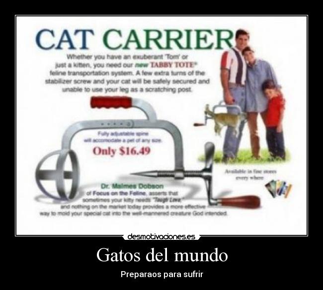 Gatos del mundo - Preparaos para sufrir