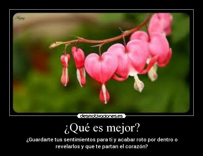 ¿Qué es mejor? - ¿Guardarte tus sentimientos para ti y acabar roto por dentro o
revelarlos y que te partan el corazón?