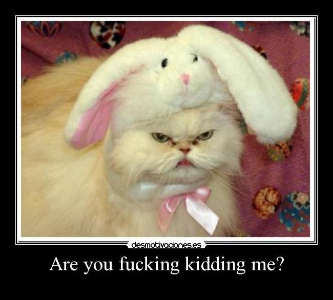 Are you fucking kidding me? -