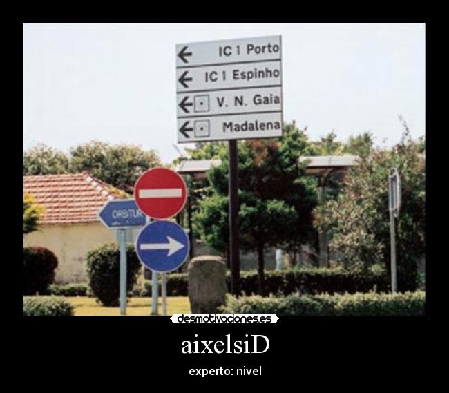 aixelsiD - experto: nivel