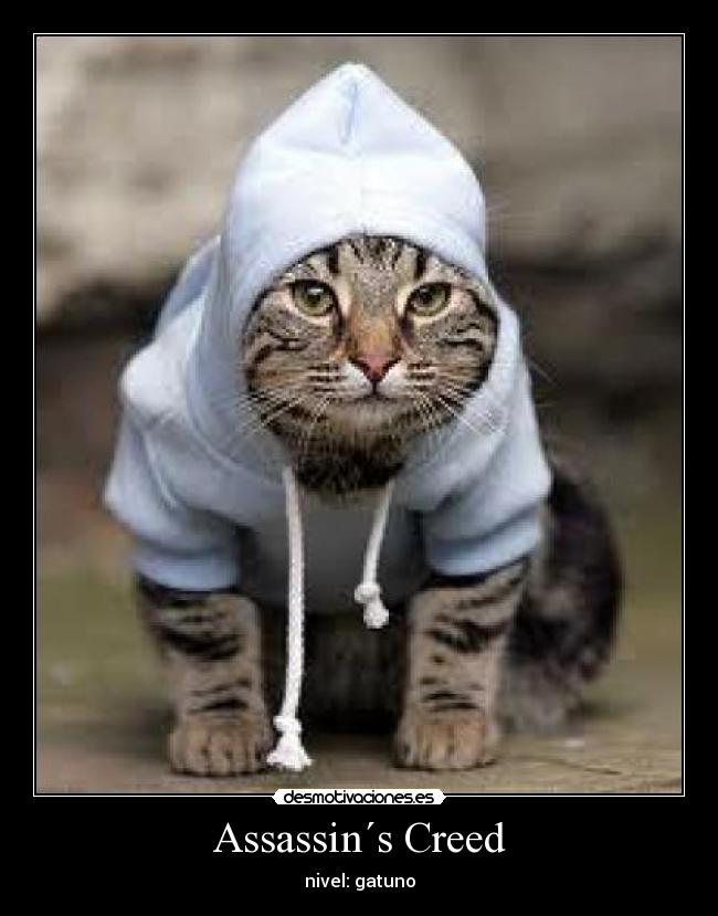 Assassin´s Creed - nivel: gatuno