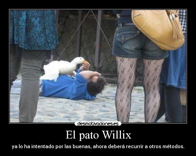 El pato Willix - 