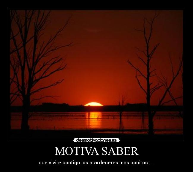 MOTIVA SABER -