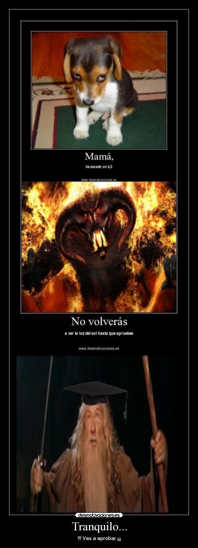 Tranquilo... - !!! Vas a aprobar ¡¡¡