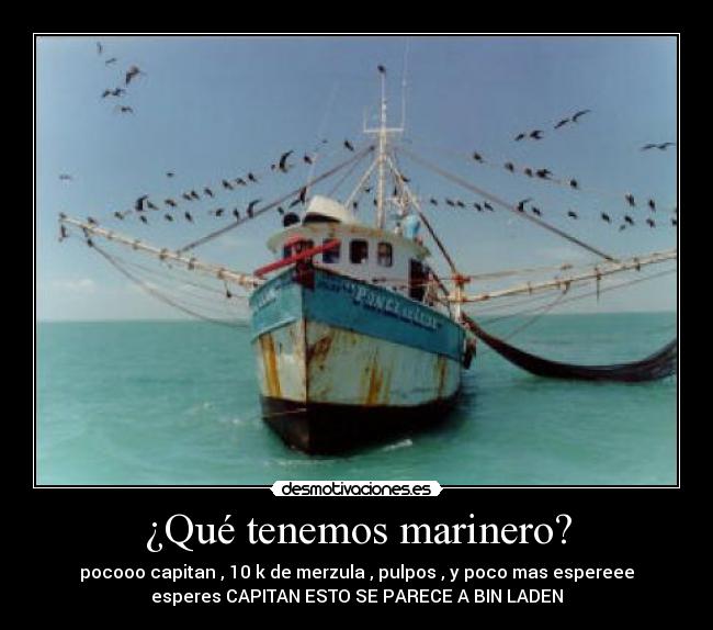¿Qué tenemos marinero? - pocooo capitan , 10 k de merzula , pulpos , y poco mas espereee
esperes CAPITAN ESTO SE PARECE A BIN LADEN