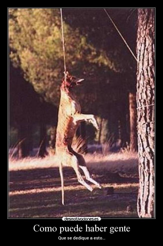 Como puede haber gente - 