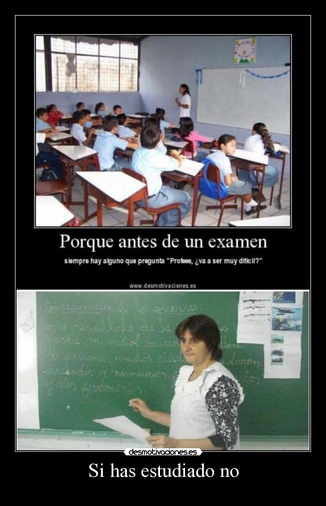 Si has estudiado no - 