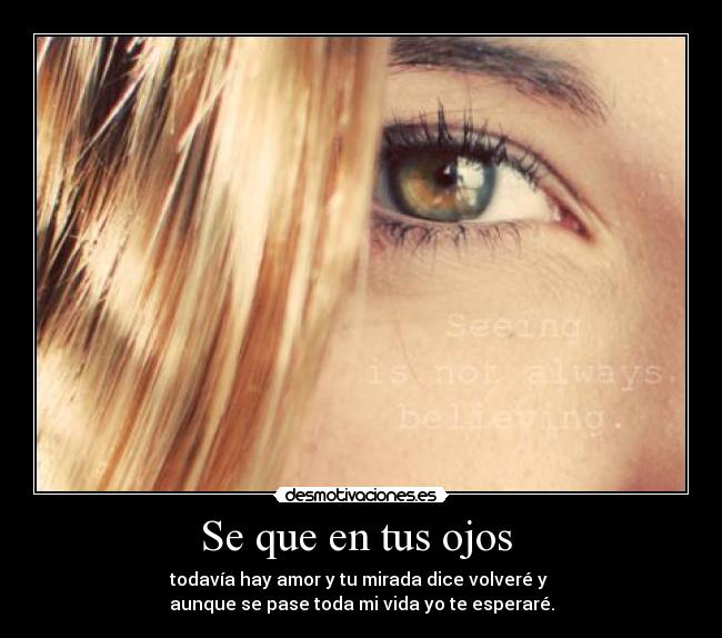Se que en tus ojos - todavía hay amor y tu mirada dice volveré y
aunque se pase toda mi vida yo te esperaré.