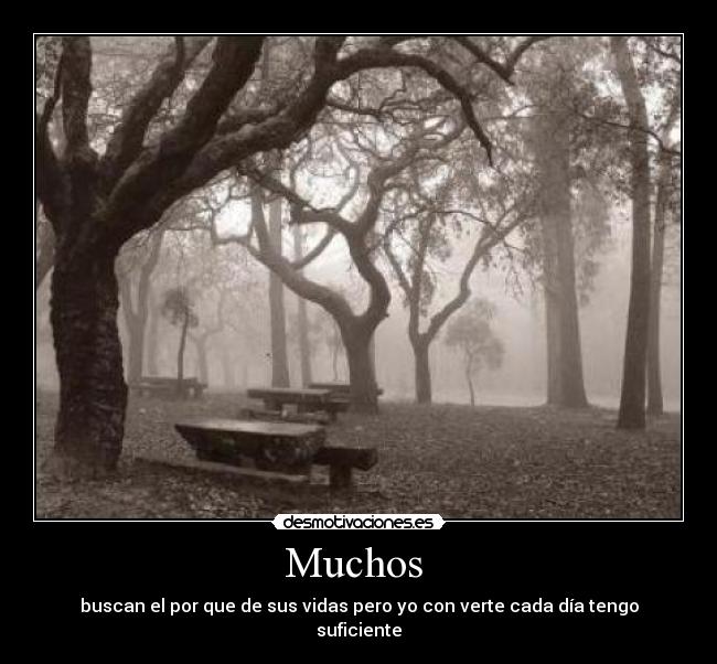 Muchos - buscan el por que de sus vidas pero yo con verte cada día tengo suficiente
