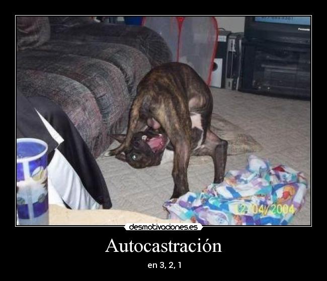 Autocastración - en 3, 2, 1