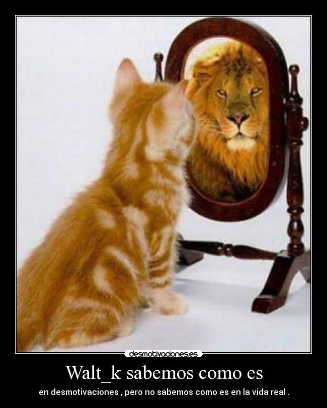 Walt_k sabemos como es - en desmotivaciones , pero no sabemos como es en la vida real .
