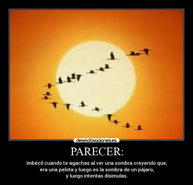 PARECER: - imbécil cuando te agachas al ver una sombra creyendo que,
era una pelota y luego es la sombra de un pájaro,
y luego intentas disimulas.