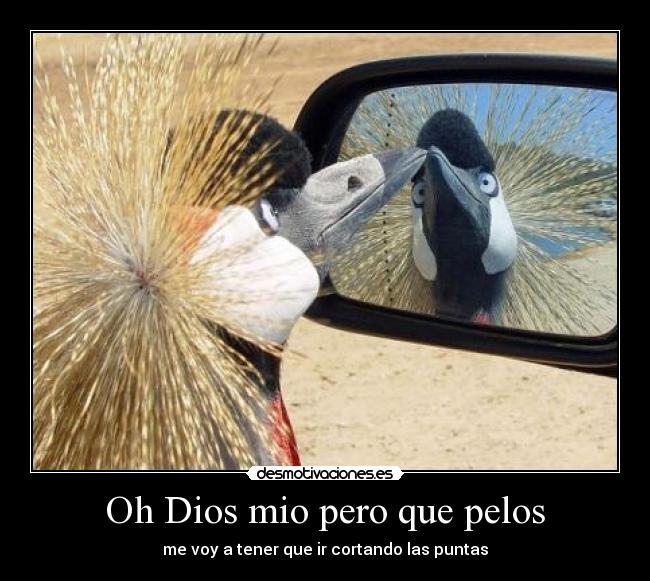 Oh Dios mio pero que pelos - 