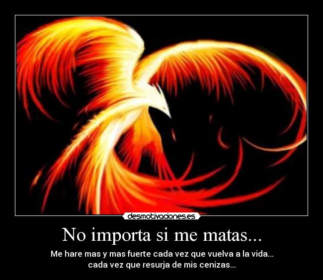 carteles ave fenix amor dolor morir resurgir desmotivaciones