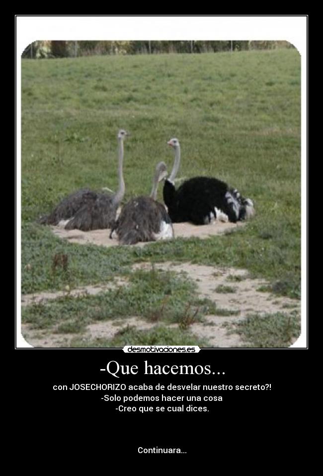 -Que hacemos... -