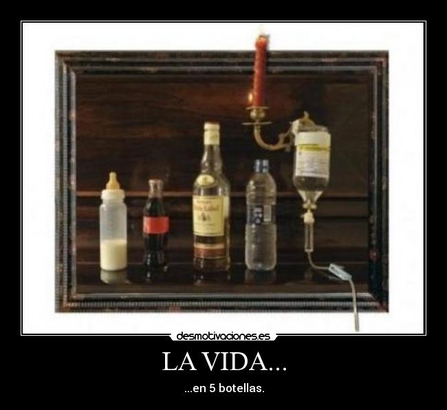 LA VIDA... - ...en 5 botellas.