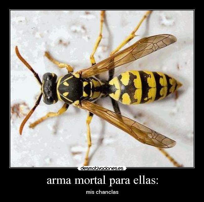 arma mortal para ellas: -