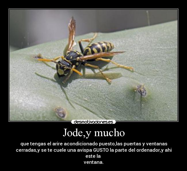 Jode,y mucho - que tengas el arire acondicionado puesto,las puertas y ventanas
cerradas,y se te cuele una avispa GUSTO la parte del ordenador,y ahi este la 
ventana.