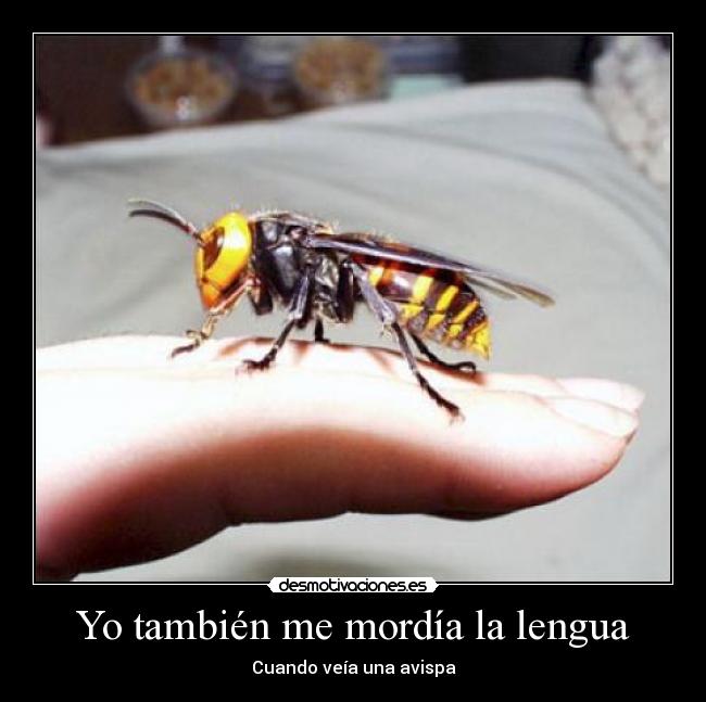 Yo también me mordía la lengua - 