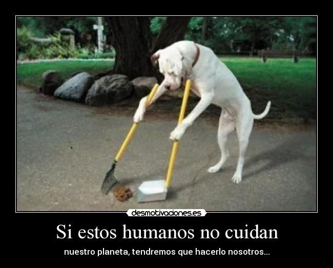 Si estos humanos no cuidan - nuestro planeta, tendremos que hacerlo nosotros...