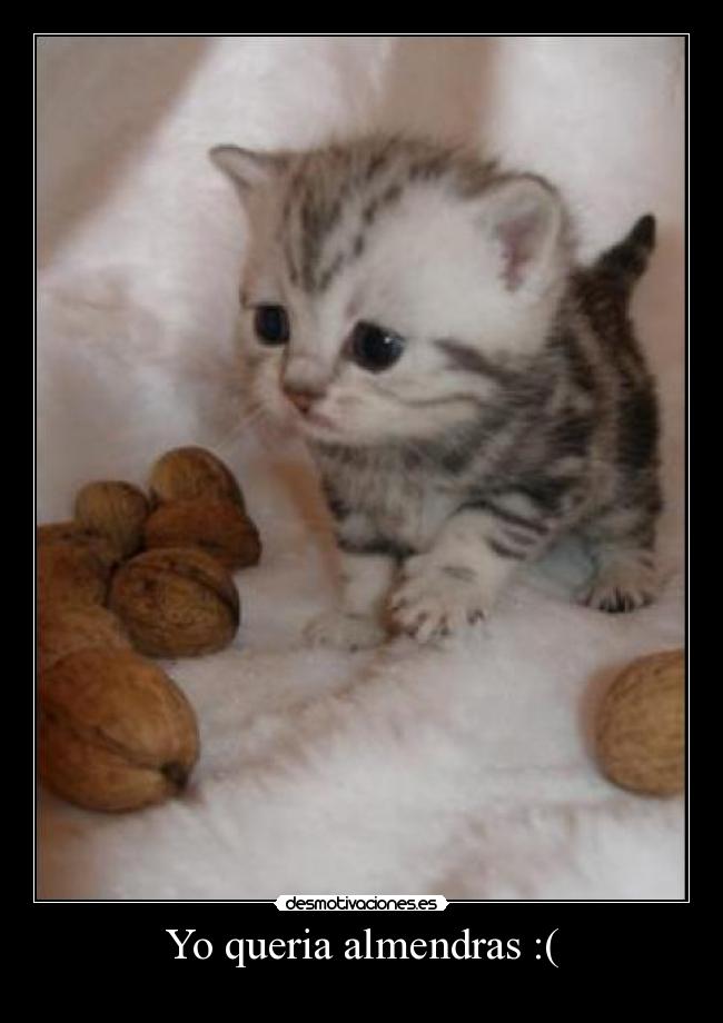 Yo queria almendras :( - 