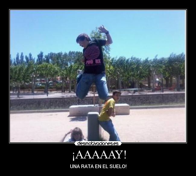 ¡AAAAAY! - UNA RATA EN EL SUELO!