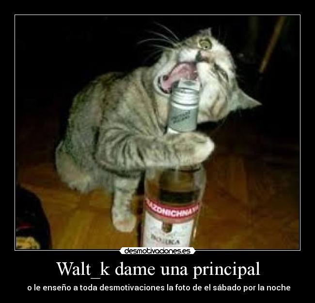 Walt_k dame una principal -