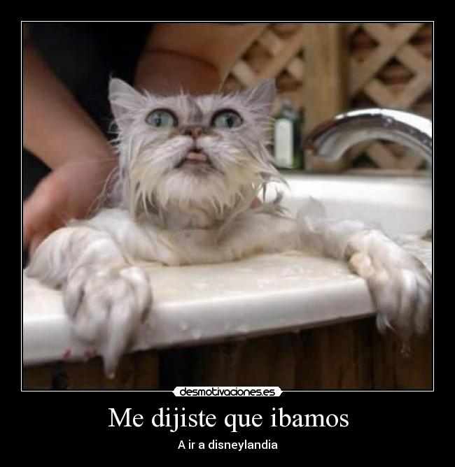 Me dijiste que ibamos -