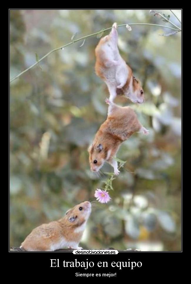 El trabajo en equipo -