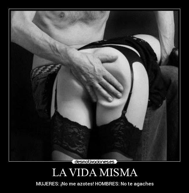 carteles vida willys desmotivaciones