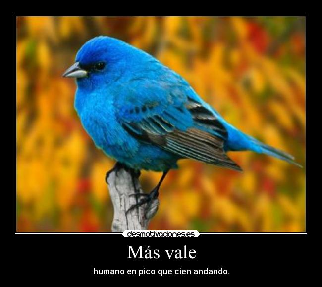 Más vale -