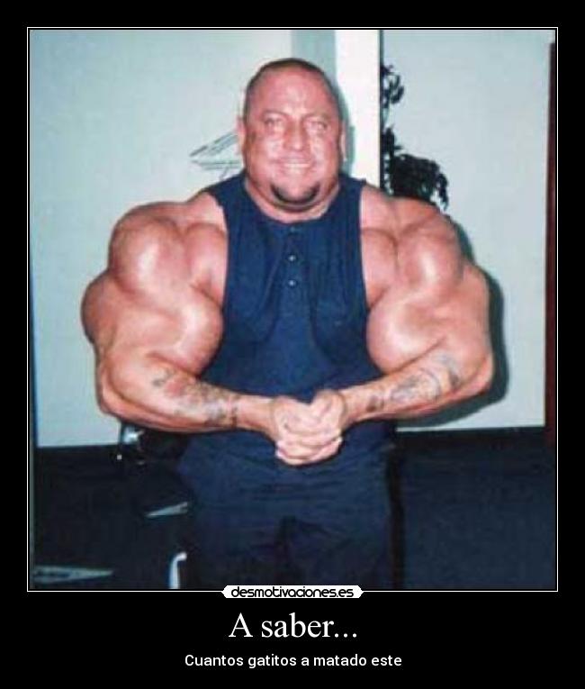 A saber... - Cuantos gatitos a matado este
