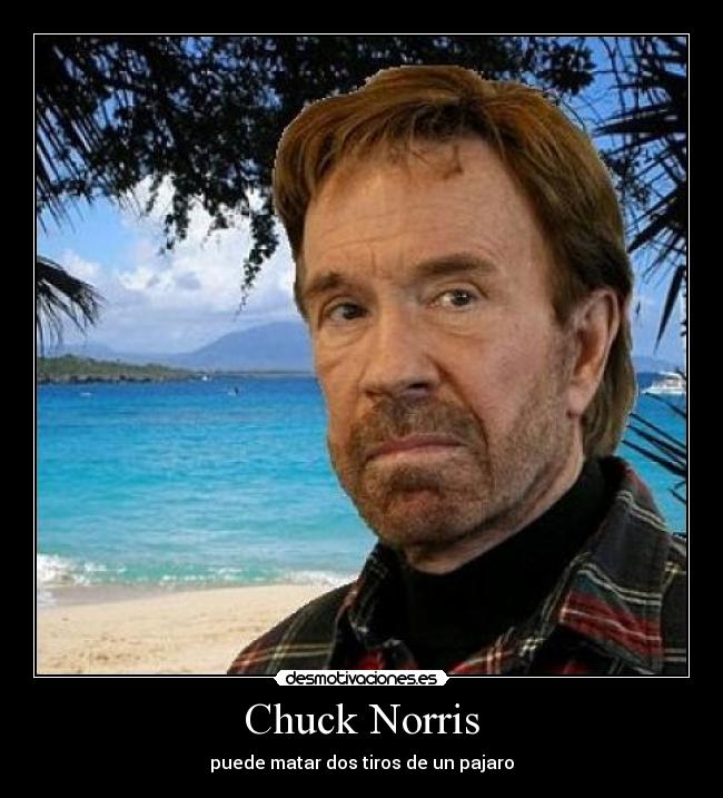 Chuck Norris - puede matar dos tiros de un pajaro
