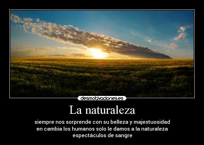 La naturaleza - siempre nos sorprende con su belleza y majestuosidad
en cambia los humanos solo le damos a la naturaleza
espectáculos de sangre