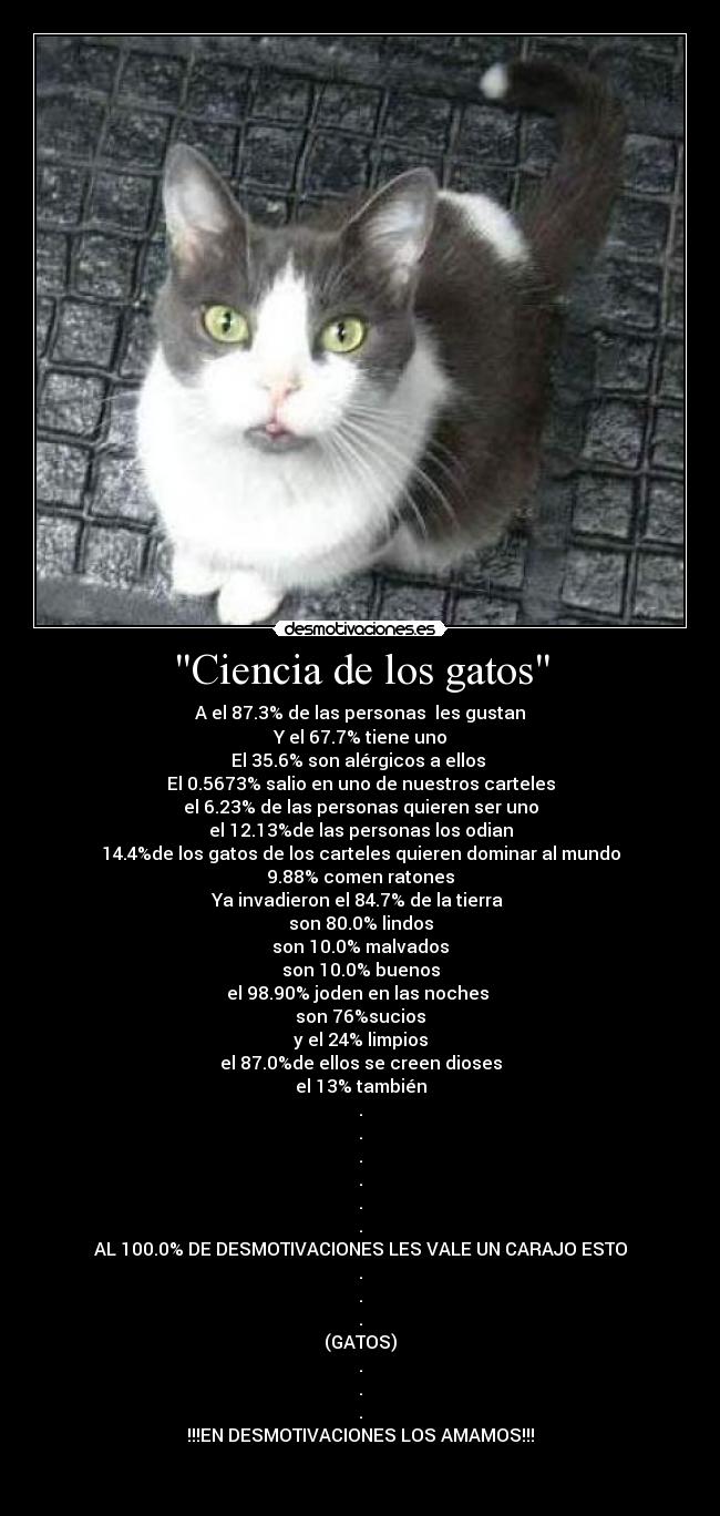 Ciencia de los gatos - 
