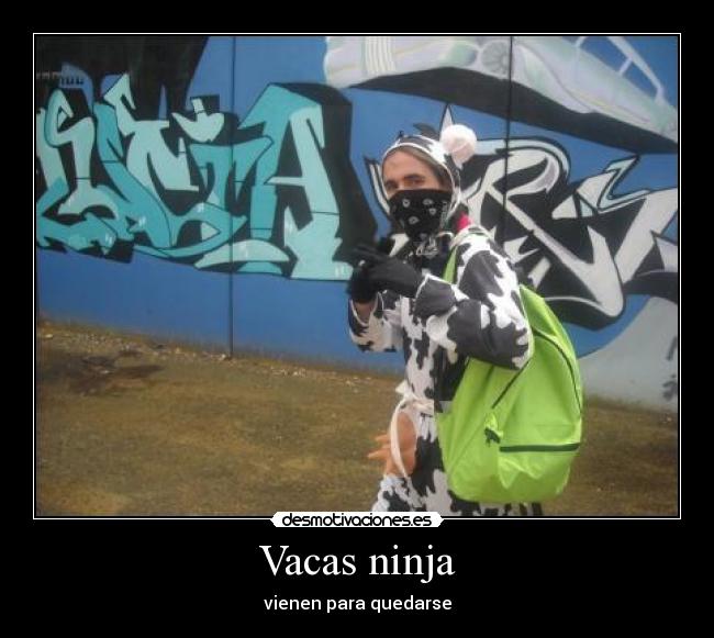 Vacas ninja -