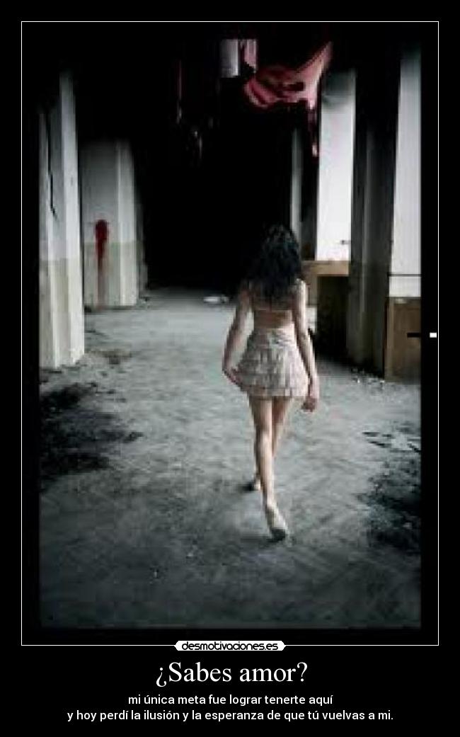 ¿Sabes amor? -